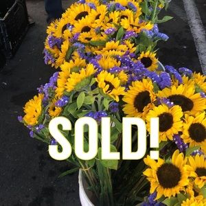 everything past here sold!